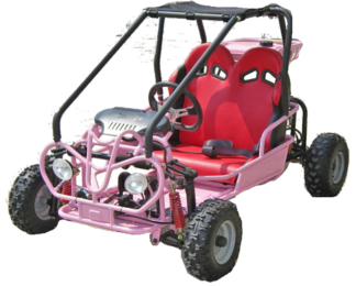 110cc GoKart Power Buggie