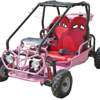 Mini RAPTOR - 110cc TK110GK-2