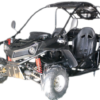 125cc Gokart - T-Rex - Image 2