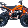 Rider 9 125cc ATV - Image 3