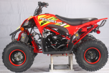 125cc Vitacci Pentora Sport - Image 6
